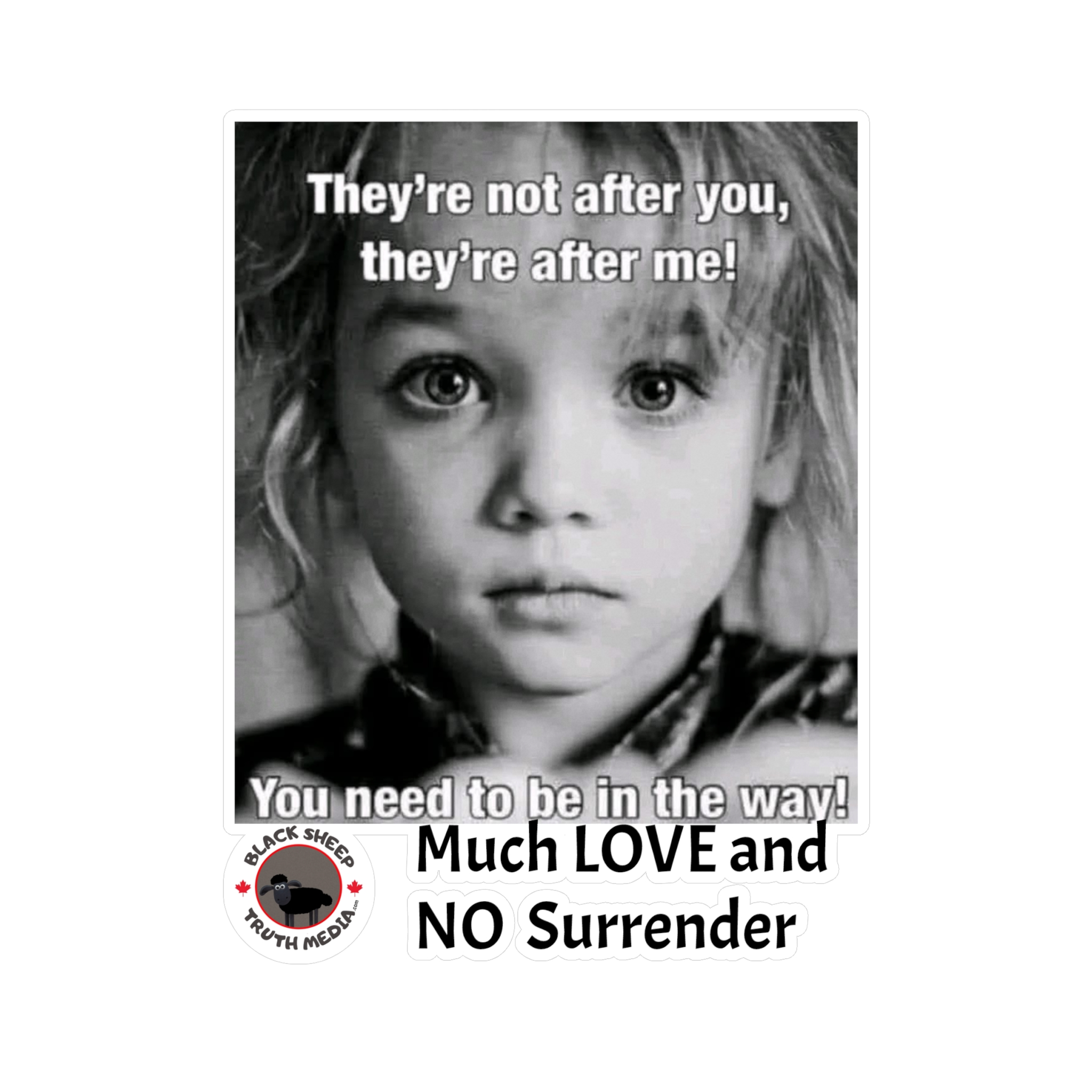 Kiss-Cut Vinyl Decal — 'They're Not After You, They're After Me' Black & White Photo Sticker - Image 13